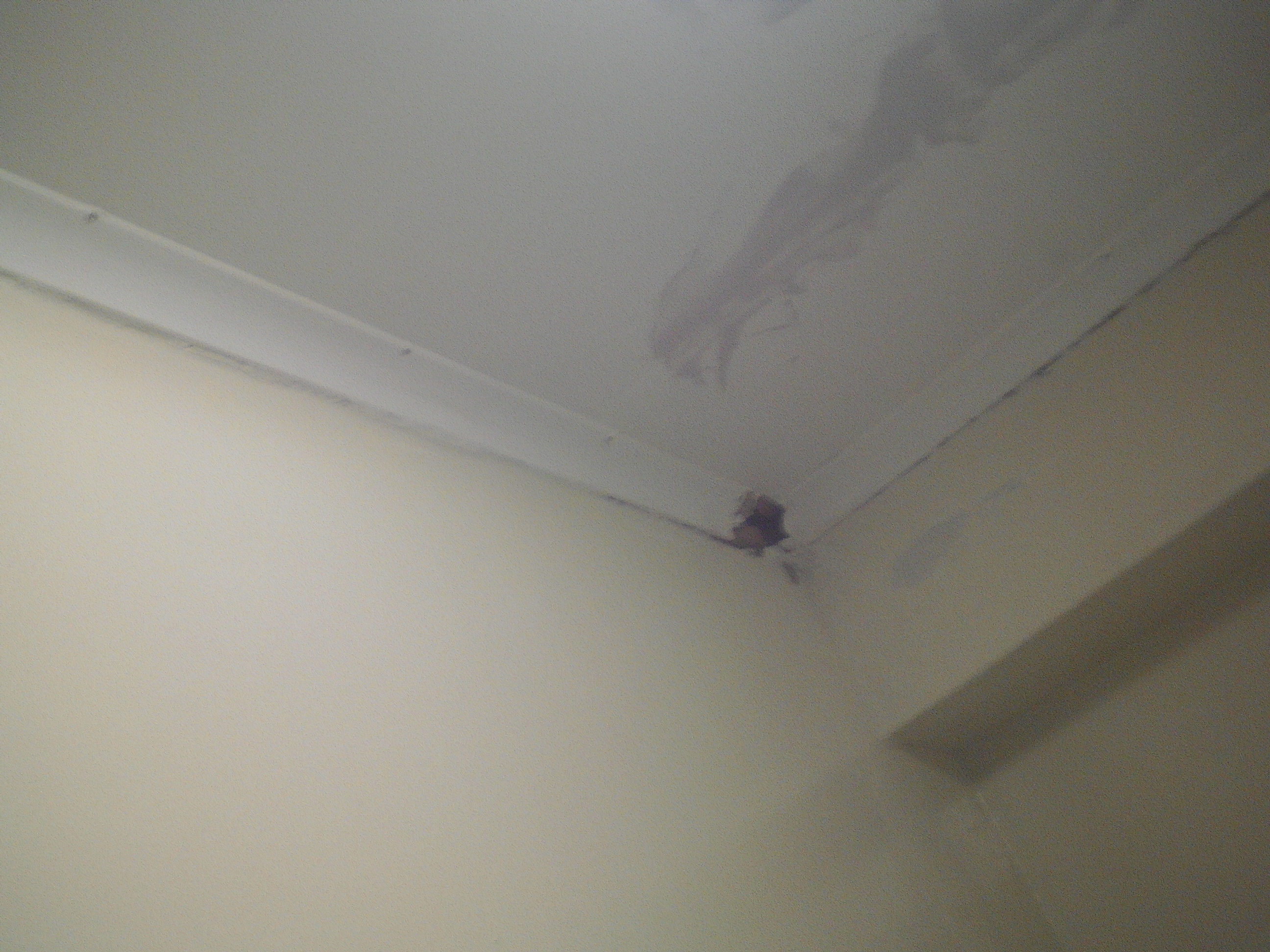 Ceiling Fixing Installation